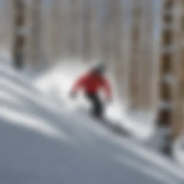 A skilled skier navigating a challenging slope in Aspen Skier gracefully navigating a challenging slope at Aspen