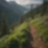 Breathtaking view from the Skyline Trail showcasing lush greenery and distant mountains