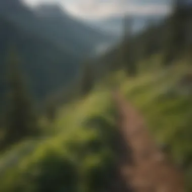 Breathtaking view from the Skyline Trail showcasing lush greenery and distant mountains