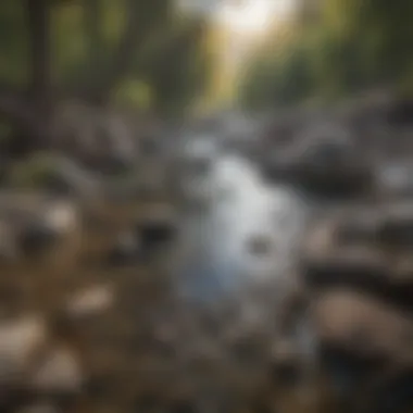 A close-up of the rocky riverbed of Snake River