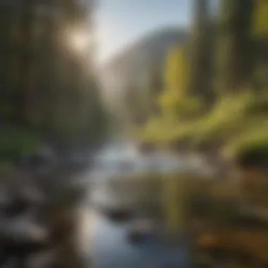 Trout fishing in a serene mountain stream