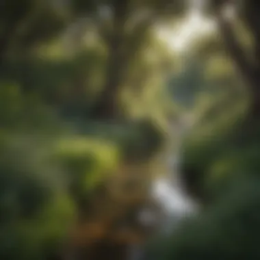 Riparian Zone Flora Lush greenery of riparian zones