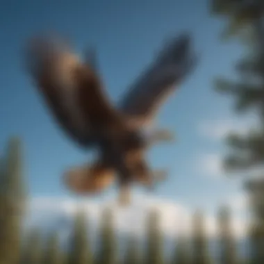 The Grace of Flight An elegant eagle soaring through a clear blue sky
