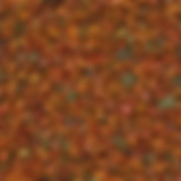 A vibrant display of deciduous tree leaves in autumn hues.