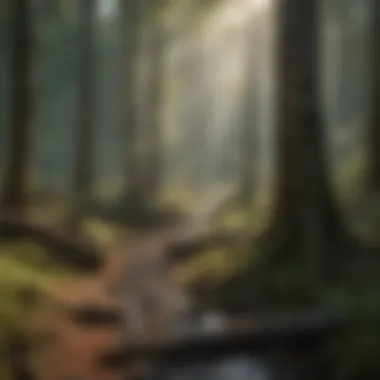 Vance Brown engaged in forest management