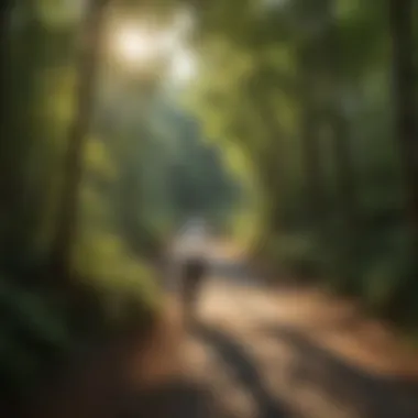 Map of Virginia Creeper Trail and Attractions A detailed map of Virginia Creeper Trail and surrounding attractions