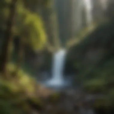 Panoramic View of Waterfall A panoramic view of a waterfall framed by towering trees and vibrant flora