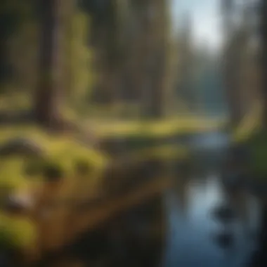 Diverse Ecosystems of Idaho A serene landscape showcasing Idaho's diverse ecosystems