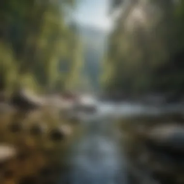 Cultural Heritage of the Region Historical sites near the Chattooga River