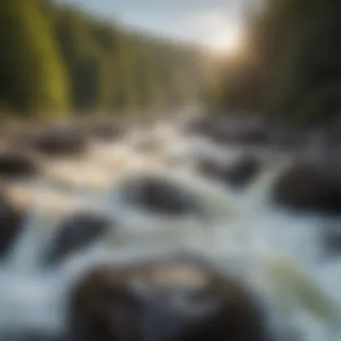 Thrilling white-water rapids on the river