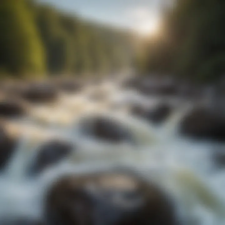 Thrilling white-water rapids on the river