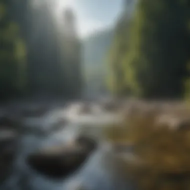 Majestic Landscape of the Chattooga River Rugged terrain surrounding the Chattooga River
