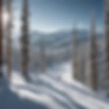 Skiers enjoying the slopes at Wolf Creek in Colorado