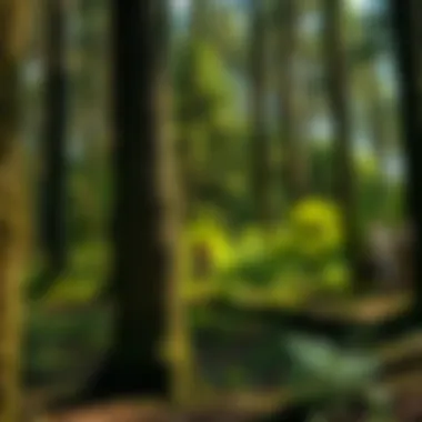 Exploring Wood Tannins: Nature's Complex Compounds Summary Exploring Wood Tannins: Nature's Complex Compounds Summary