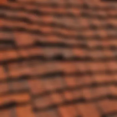 Textured Appearance of Fire Retardant Cedar Shake Shingles Close-up view of treated fire retardant cedar shake shingles showcasing their texture and color