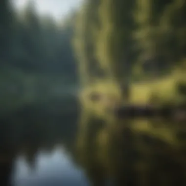 Angler casting a fly rod over a serene lake