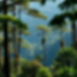 Human Impact on Tropical Rainforests: An In-Depth Exploration Introduction