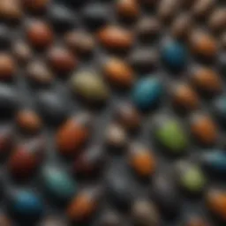 A close-up view of various beetle species showcasing unique morphological traits