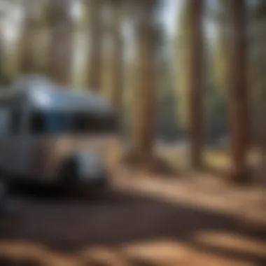 Tranquil Camping in Flagstaff Camping setup in a tranquil Flagstaff RV park