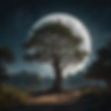 Harmony of Earth and Cosmos: The Moon Tree Nursery A serene landscape of the Moon Tree Nursery, illustrating the harmony between nature and the cosmos.