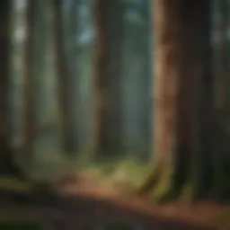 Visual representation of a network graph in forestry management