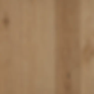 Distressed Texture of Northport White Oak Close-up view of Northport white oak engineered hardwood showcasing its distressed texture