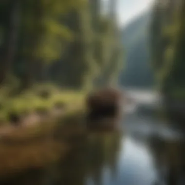 River boat navigating through scenic waterways