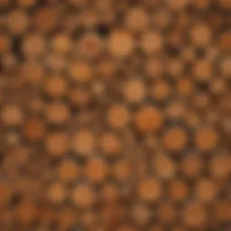 A close-up of various types of packing wood materials arranged neatly