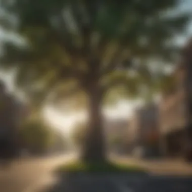 Urban Tree Significance A majestic tree standing tall in an urban landscape