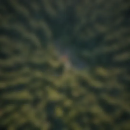 Advanced aerial view capturing forest canopy