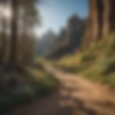 Navigating the Trails of Pinnacles Park signage and trail information