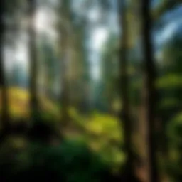 A vibrant forest grove showcasing diverse plant species thriving in harmony.