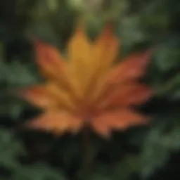 A close-up view of Russell's unique leaves showcasing their texture and color variations