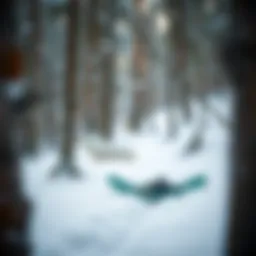 Selecting Optimal Footwear for Snowshoeing: A Comprehensive Guide Introduction