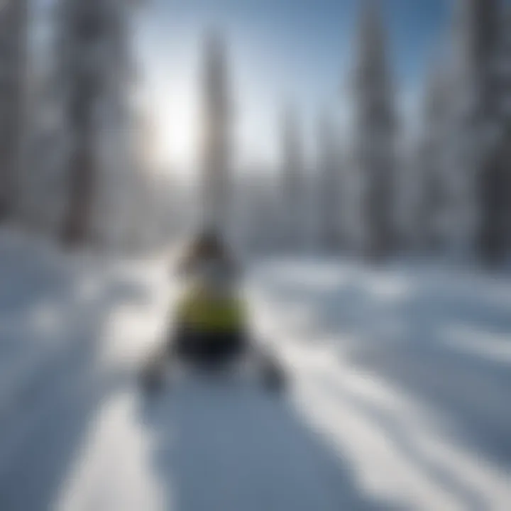 A snowmobiler gliding through pristine snowy trails