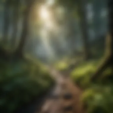 Biodiversity and Forest Ecosystems A lush forest landscape showcasing biodiversity linked to the South Fork Ram