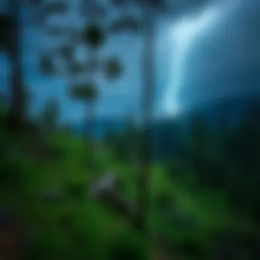 Strategies for Avoiding Lightning Strikes Summary