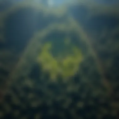 Strategies for Carbon Dioxide Removal from the Atmosphere Summary Strategies for Carbon Dioxide Removal from the Atmosphere Summary