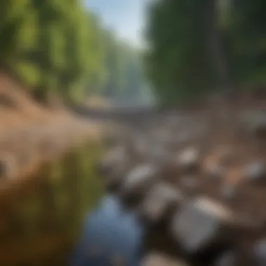 Engineered Structures for Erosion Mitigation Engineered solutions like rock revetments along a streambank