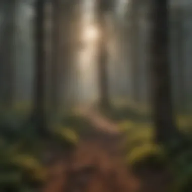 Sustainable Forest Management Practices Visual representation of sustainable forest management practices