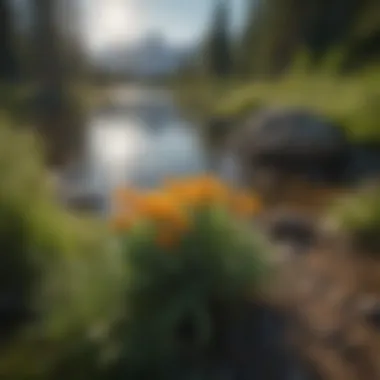 Close-up of unique flora surrounding Teton Lake