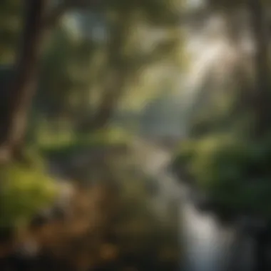 A tranquil hot spring surrounded by lush greenery