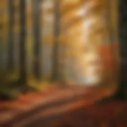 A vibrant display of autumn foliage in a forest