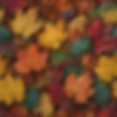 Close-up of colorful leaves showcasing chemical pigments