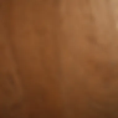 Premium Quality Veneer Texture A close-up of premium quality veneer showcasing its texture and grain patterns.