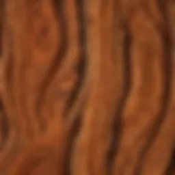 Close-up view of redwood timber grain showcasing distinct patterns