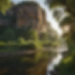 A scenic view of the Rio Fort Collins surrounded by lush greenery