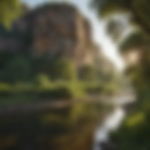 A scenic view of the Rio Fort Collins surrounded by lush greenery