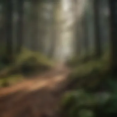 Sustainable Practices Sustainable forest management practices
