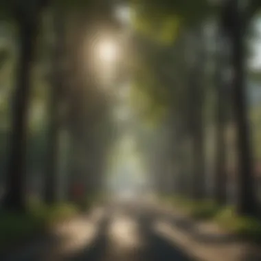 Urban Forestry Benefits Urban area with strategically placed trees providing shade and improving air quality